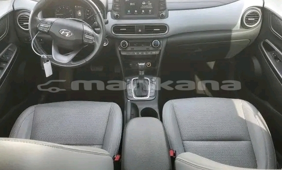 Buy Used Hyundai Elantra White Car in Honi in Imereti Buy Used Hyundai Elantra White Car in Honi in Imereti