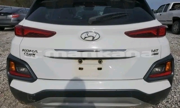 Buy Used Hyundai Elantra White Car in Honi in Imereti Buy Used Hyundai Elantra White Car in Honi in Imereti