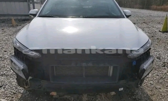 Buy Used Hyundai Elantra White Car in Honi in Imereti Buy Used Hyundai Elantra White Car in Honi in Imereti