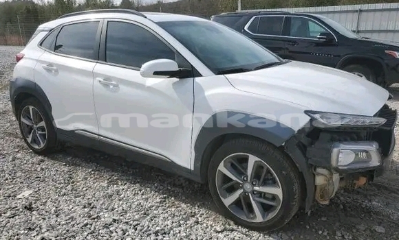 Buy Used Hyundai Elantra White Car in Honi in Imereti Buy Used Hyundai Elantra White Car in Honi in Imereti