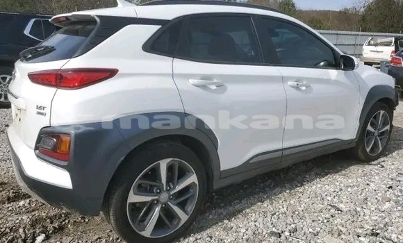 Buy Used Hyundai Elantra White Car in Honi in Imereti Buy Used Hyundai Elantra White Car in Honi in Imereti