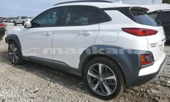 Buy Used Hyundai Elantra White Car in Honi in Imereti Buy Used Hyundai Elantra White Car in Honi in Imereti