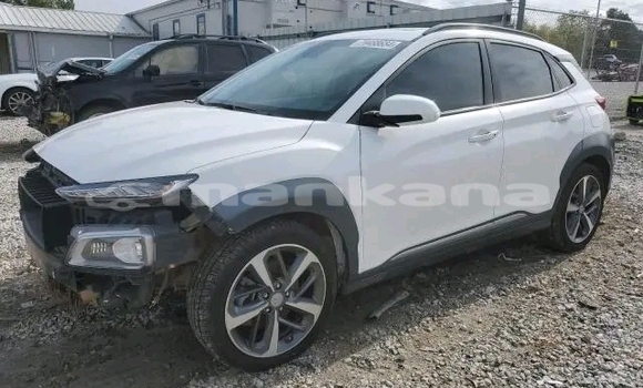 Buy Used Hyundai Elantra White Car in Honi in Imereti Buy Used Hyundai Elantra White Car in Honi in Imereti