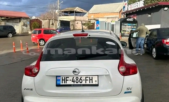 Buy Used Nissan Juke White Car in Bihvinta in Abhasia Buy Used Nissan Juke White Car in Bihvinta in Abhasia