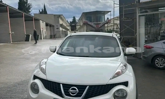 Buy Used Nissan Juke White Car in Bihvinta in Abhasia Buy Used Nissan Juke White Car in Bihvinta in Abhasia