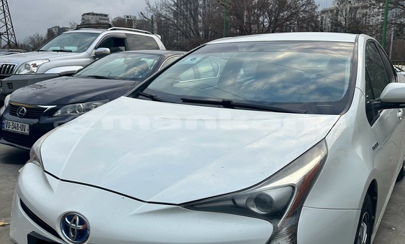 Buy Used Toyota Prius White Car in Import - Dubai in Abhasia Buy Used Toyota Prius White Car in Import - Dubai in Abhasia
