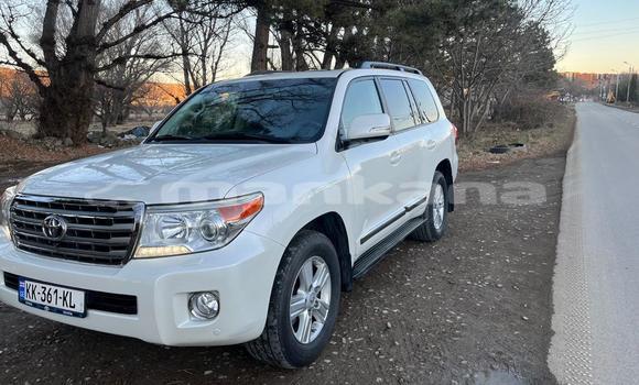 Buy Used Toyota Land Cruiser White Car in Tbilisi in Tbilisi Buy Used Toyota Land Cruiser White Car in Tbilisi in Tbilisi