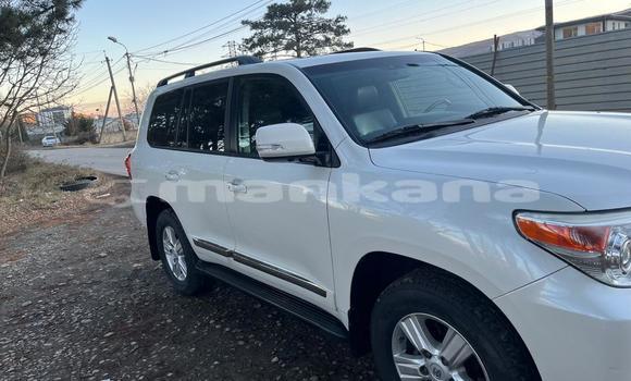 Buy Used Toyota Land Cruiser White Car in Tbilisi in Tbilisi Buy Used Toyota Land Cruiser White Car in Tbilisi in Tbilisi