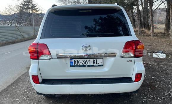 Buy Used Toyota Land Cruiser White Car in Tbilisi in Tbilisi Buy Used Toyota Land Cruiser White Car in Tbilisi in Tbilisi