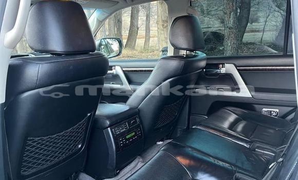 Buy Used Toyota Land Cruiser White Car in Tbilisi in Tbilisi Buy Used Toyota Land Cruiser White Car in Tbilisi in Tbilisi