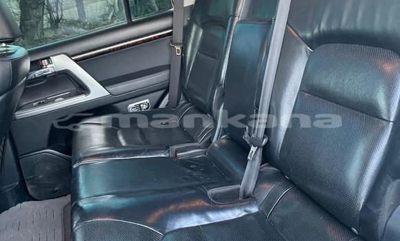 Buy Used Toyota Land Cruiser White Car in Tbilisi in Tbilisi Buy Used Toyota Land Cruiser White Car in Tbilisi in Tbilisi