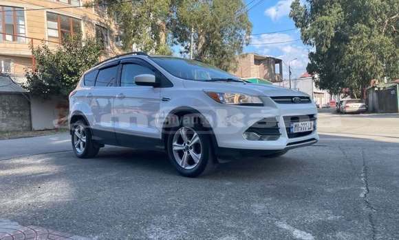 Buy Used Ford Escape White Car in Tbilisi in Tbilisi Buy Used Ford Escape White Car in Tbilisi in Tbilisi