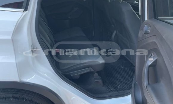 Buy Used Ford Escape White Car in Tbilisi in Tbilisi Buy Used Ford Escape White Car in Tbilisi in Tbilisi