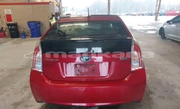 Buy Used Toyota Prius Red Car in Batumi in Ajaria Buy Used Toyota Prius Red Car in Batumi in Ajaria