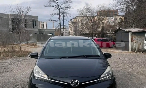 Buy Used Toyota Vitz Black Car in Ahali Atoni in Abhasia Buy Used Toyota Vitz Black Car in Ahali Atoni in Abhasia