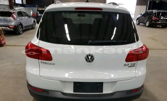 Buy Used Volkswagen Tiguan White Car in Sagaredzho in Kaheti