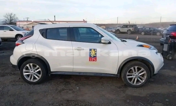 Buy Used Nissan Juke White Car in Bihvinta in Abhasia Buy Used Nissan Juke White Car in Bihvinta in Abhasia