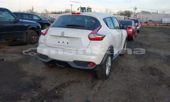 Buy Used Nissan Juke White Car in Bihvinta in Abhasia Buy Used Nissan Juke White Car in Bihvinta in Abhasia