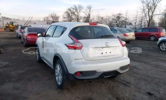 Buy Used Nissan Juke White Car in Bihvinta in Abhasia Buy Used Nissan Juke White Car in Bihvinta in Abhasia