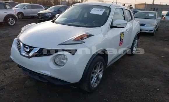 Buy Used Nissan Juke White Car in Bihvinta in Abhasia Buy Used Nissan Juke White Car in Bihvinta in Abhasia