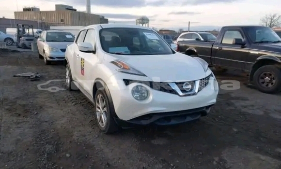 Buy Used Nissan Juke White Car in Bihvinta in Abhasia Buy Used Nissan Juke White Car in Bihvinta in Abhasia