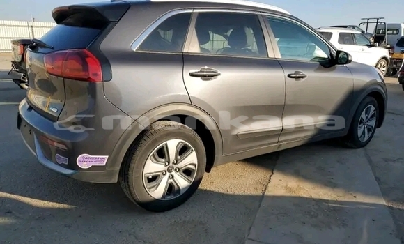 Buy Used Kia Niro Other Car in Batumi in Ajaria Buy Used Kia Niro Other Car in Batumi in Ajaria