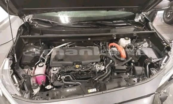 Buy Used Toyota RAV4 Other Car in Gudauta in Abhasia Buy Used Toyota RAV4 Other Car in Gudauta in Abhasia