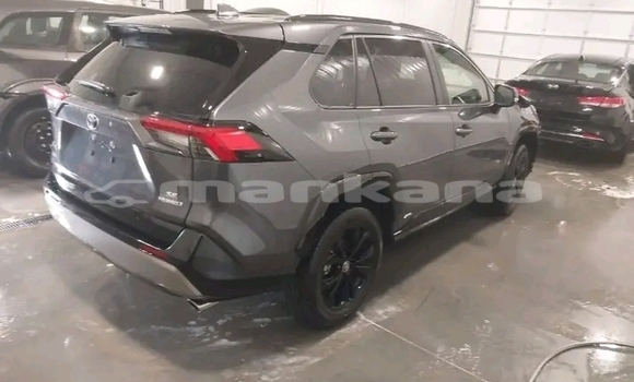Buy Used Toyota RAV4 Other Car in Gudauta in Abhasia Buy Used Toyota RAV4 Other Car in Gudauta in Abhasia