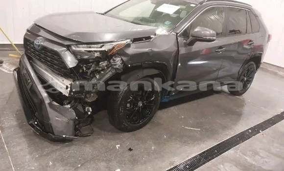Buy Used Toyota RAV4 Other Car in Gudauta in Abhasia Buy Used Toyota RAV4 Other Car in Gudauta in Abhasia