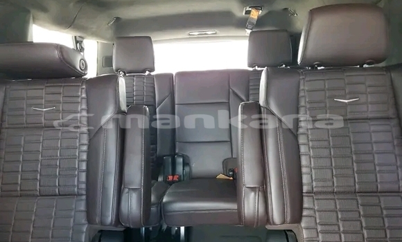 Buy Used Cadillac Escalade Other Car in Honi in Imereti