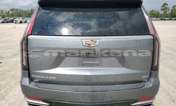 Buy Used Cadillac Escalade Other Car in Honi in Imereti Buy Used Cadillac Escalade Other Car in Honi in Imereti