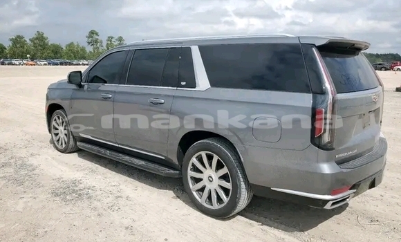 Buy Used Cadillac Escalade Other Car in Honi in Imereti Buy Used Cadillac Escalade Other Car in Honi in Imereti