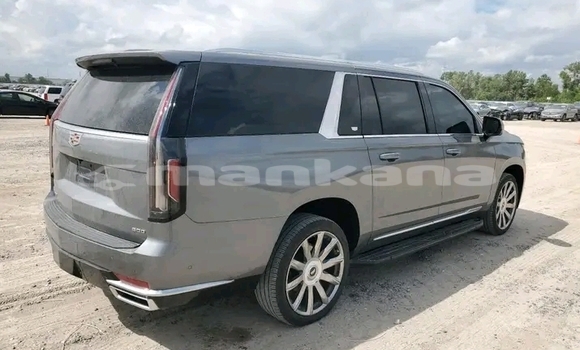 Buy Used Cadillac Escalade Other Car in Honi in Imereti Buy Used Cadillac Escalade Other Car in Honi in Imereti