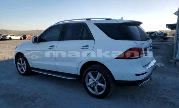 Buy Used Mercedes-Benz C–Class White Car in Bagdadi in Imereti Buy Used Mercedes-Benz C–Class White Car in Bagdadi in Imereti