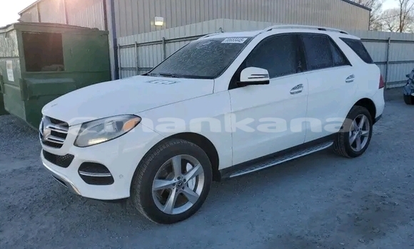 Buy Used Mercedes-Benz C–Class White Car in Bagdadi in Imereti Buy Used Mercedes-Benz C–Class White Car in Bagdadi in Imereti