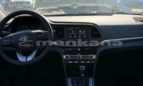 Buy Used Hyundai Elantra Other Car in Lanchhuti in Guria