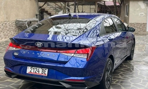 Buy Used Hyundai Elantra Other Car in Bagdadi in Imereti Buy Used Hyundai Elantra Other Car in Bagdadi in Imereti