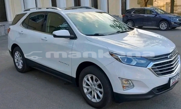 Buy Used Hyundai Elantra White Car in Gurdzhaani in Kaheti Buy Used Hyundai Elantra White Car in Gurdzhaani in Kaheti