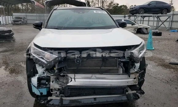 Buy Used Toyota RAV4 White Car in Batumi in Ajaria Buy Used Toyota RAV4 White Car in Batumi in Ajaria