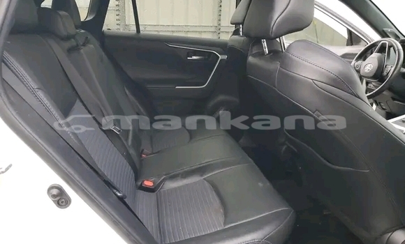Buy Used Toyota RAV4 White Car in Batumi in Ajaria Buy Used Toyota RAV4 White Car in Batumi in Ajaria