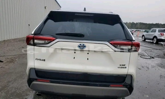 Buy Used Toyota RAV4 White Car in Batumi in Ajaria Buy Used Toyota RAV4 White Car in Batumi in Ajaria