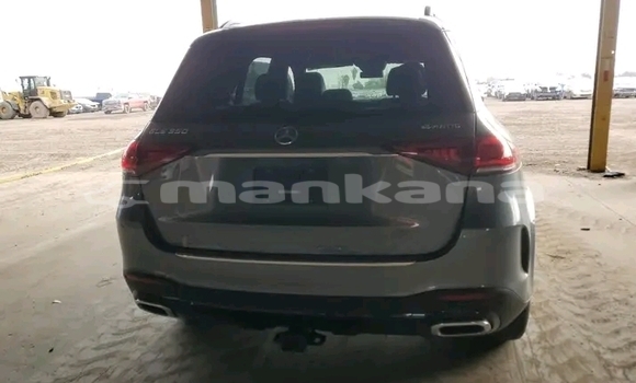 Buy Used Mercedes-Benz GLE Other Car in Bagdadi in Imereti Buy Used Mercedes-Benz GLE Other Car in Bagdadi in Imereti