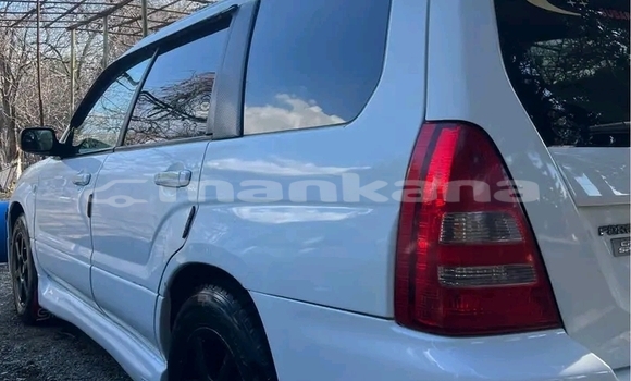 Buy Used Subaru Forester White Car in Gudauta in Abhasia
