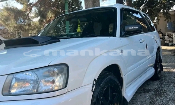Buy Used Subaru Forester White Car in Gudauta in Abhasia Buy Used Subaru Forester White Car in Gudauta in Abhasia