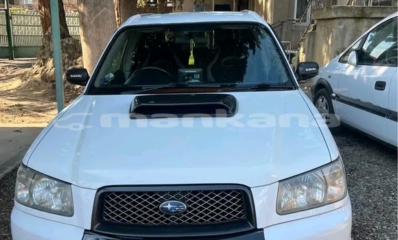 Buy Used Subaru Forester White Car in Gudauta in Abhasia Buy Used Subaru Forester White Car in Gudauta in Abhasia