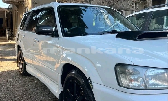 Buy Used Subaru Forester White Car in Gudauta in Abhasia Buy Used Subaru Forester White Car in Gudauta in Abhasia