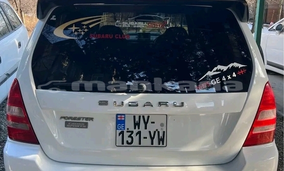Buy Used Subaru Forester White Car in Gudauta in Abhasia Buy Used Subaru Forester White Car in Gudauta in Abhasia