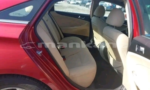 Buy Used Hyundai Sonata Red Car in Batumi in Ajaria Buy Used Hyundai Sonata Red Car in Batumi in Ajaria