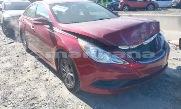 Buy Used Hyundai Sonata Red Car in Batumi in Ajaria Buy Used Hyundai Sonata Red Car in Batumi in Ajaria
