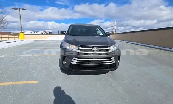 Buy Used Toyota Highlander Other Car in Gali in Abhasia Buy Used Toyota Highlander Other Car in Gali in Abhasia